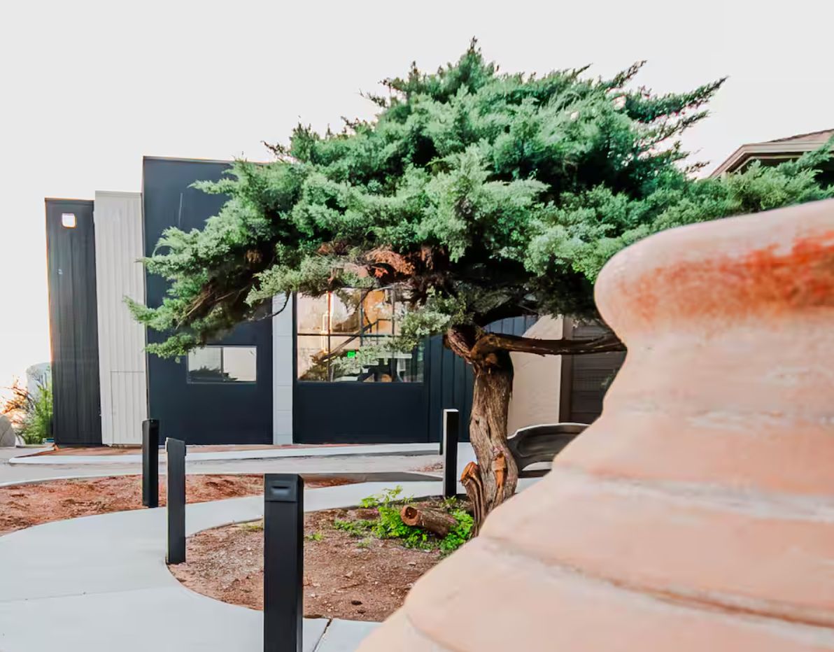 A modern building with a large tree in the foreground, a pathway, and a planter with a large pot.