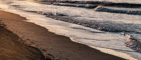 Golden sunset strolls along a peaceful beachfront shore