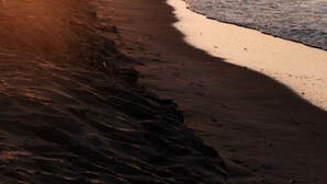 Una playa con olas y un atardecer.