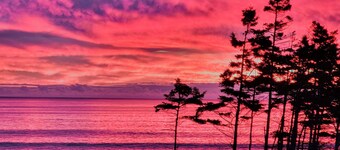 Cozy, tranquil waterfront retreat with a stunning oceanfront view in the pines.