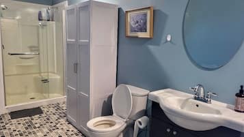 Shower, hair dryer, bidet, towels