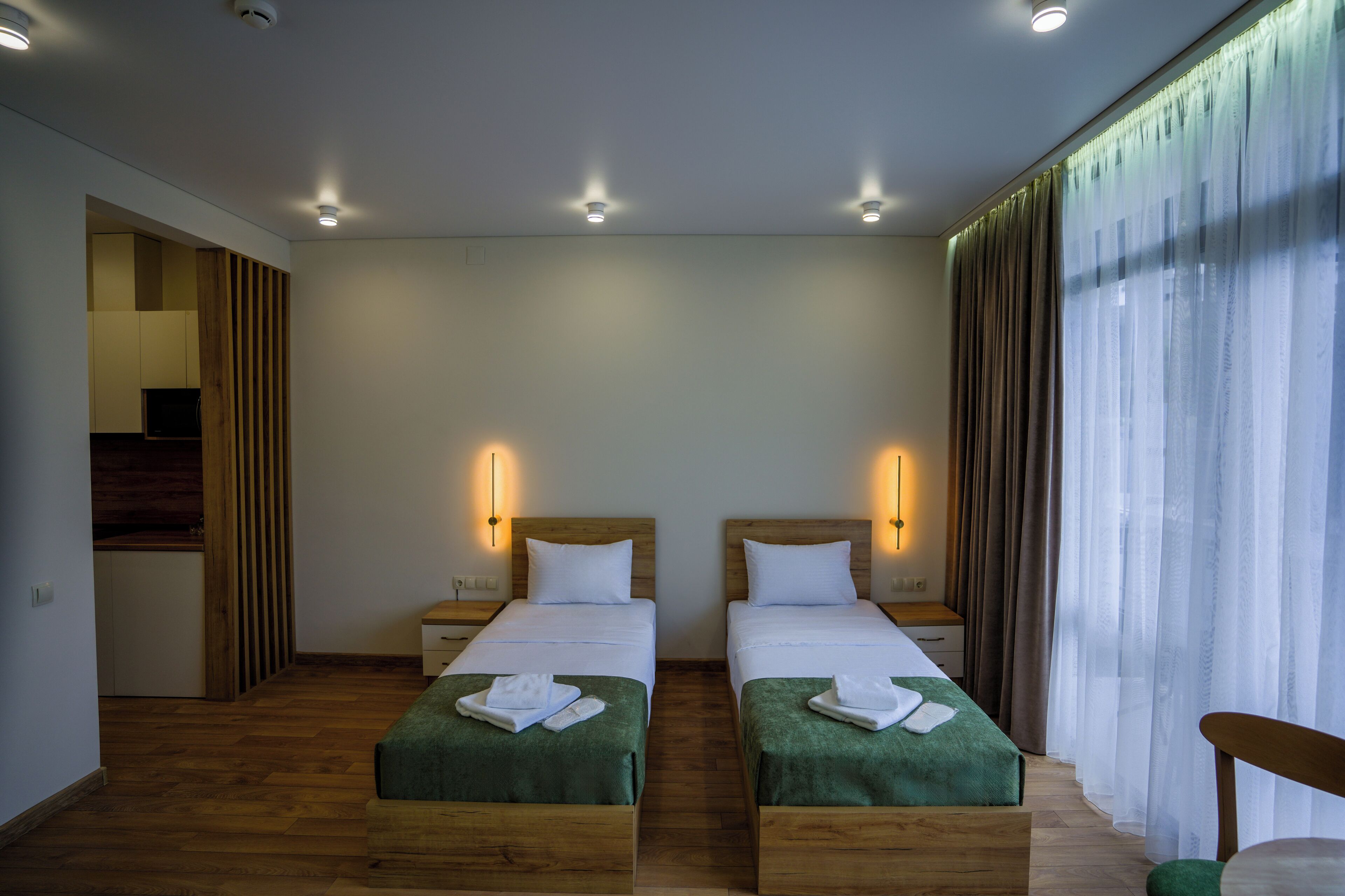 Superior Studio, Balcony, Mountain View