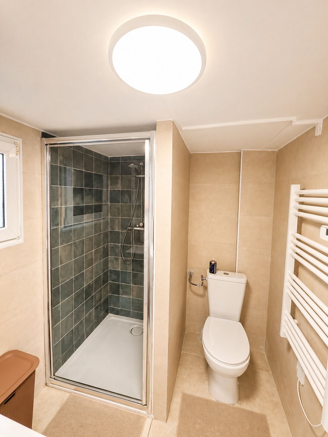 Shower, hair dryer