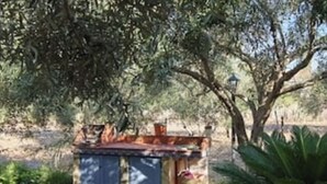 Un petit bâtiment rustique, doté d’un toit en pente, entouré de verdure et d’arbres.