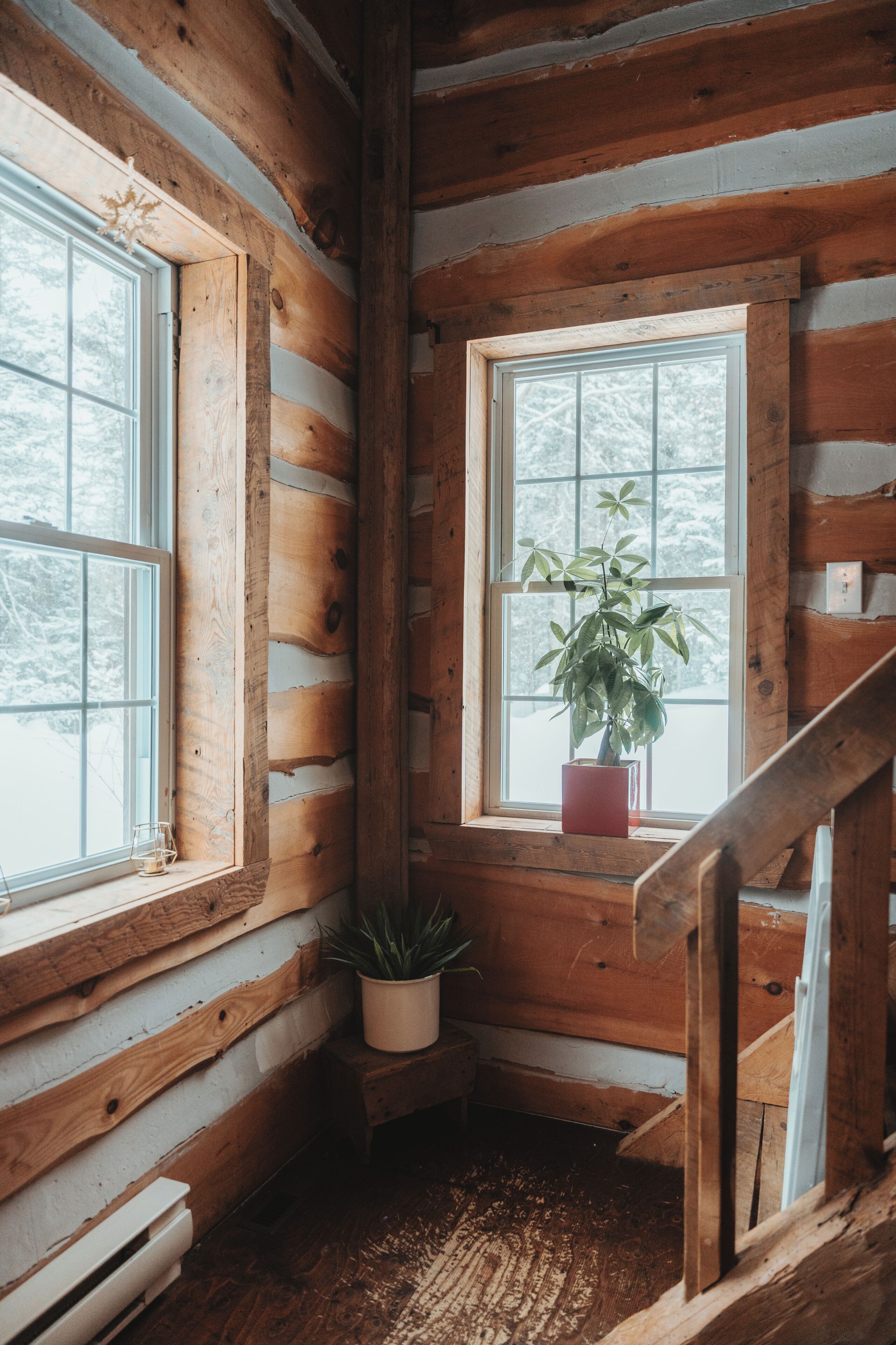A cabin interior with wooden walls, a window with a plant, and a wooden staircase.