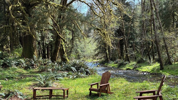 Un área boscosa con un pequeño arroyo, tres sillas de madera tipo Adirondack y una mesa de picnic.