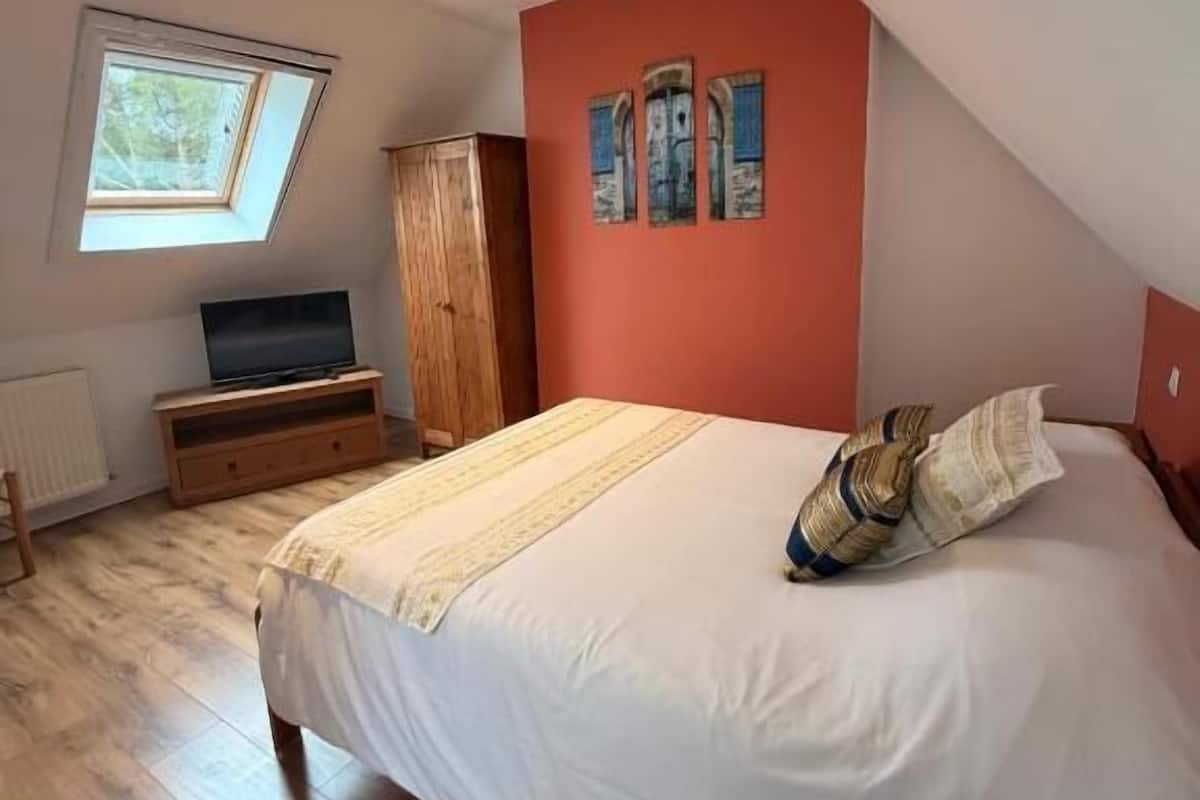 Une chambre à coucher avec un lit, un téléviseur posé sur un meuble en bois, une armoire et une lucarne.