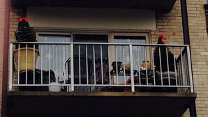 Een meerlaags gebouw met een balkon, versierd met een kleine kerstboom en plantenpotten.