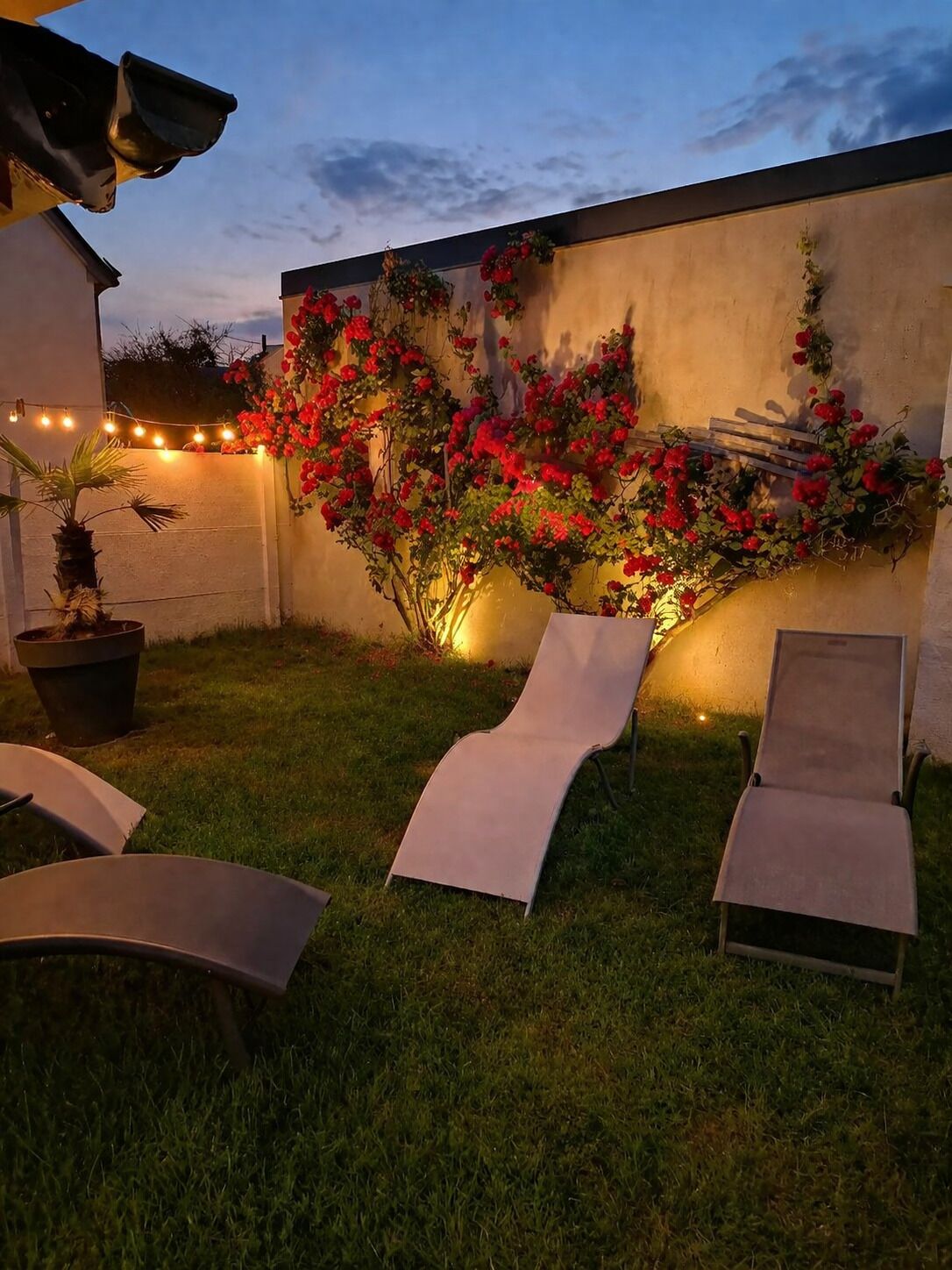 Un patio trasero con una jardinera colgante de flores rojas, dos sillones de descanso y luces colgantes.