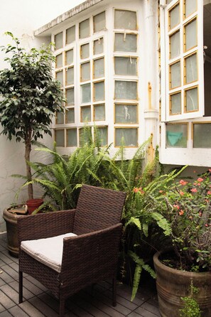 Ein Korbstuhl, ein Blumentopf mit einem Baum und ein großes Fenster mit vielen Glasscheiben.