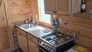 A wooden cabin kitchen with a gas stove, sink, and cabinets. - Cozy 1-bedroom private cabin  with AC and heat. Minutes to Sacanadaga Lake (Broadalbin)