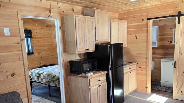 A compact cabin with a kitchenette, a sofa, and a bed. - Cozy 1-bedroom private cabin  with AC and heat. Minutes to Sacanadaga Lake (Broadalbin)