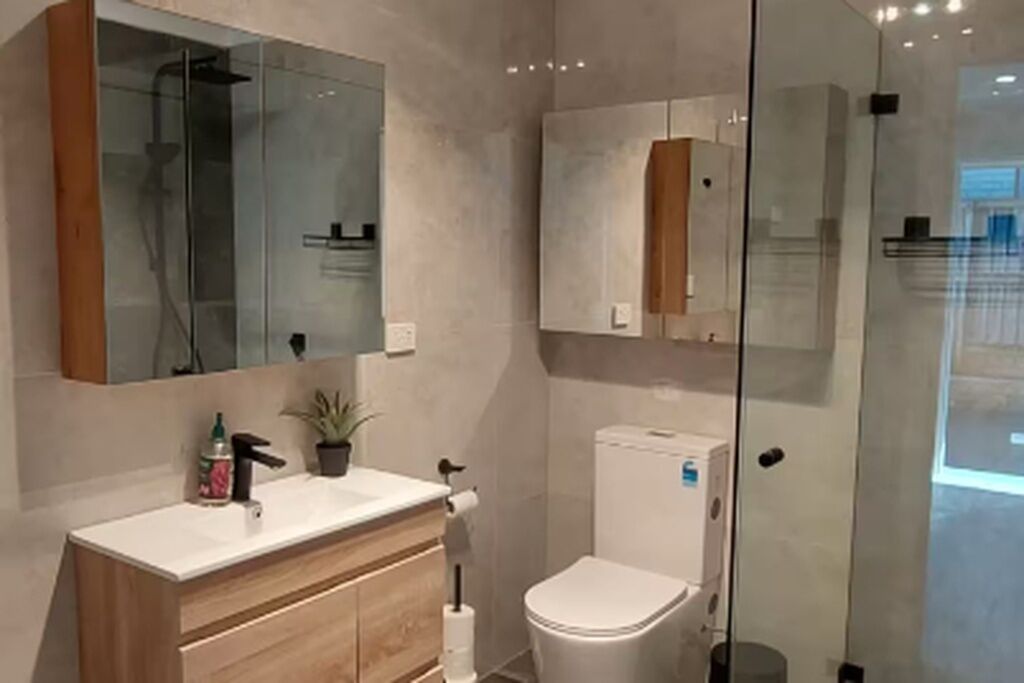 Shower, bidet, towels, toilet paper