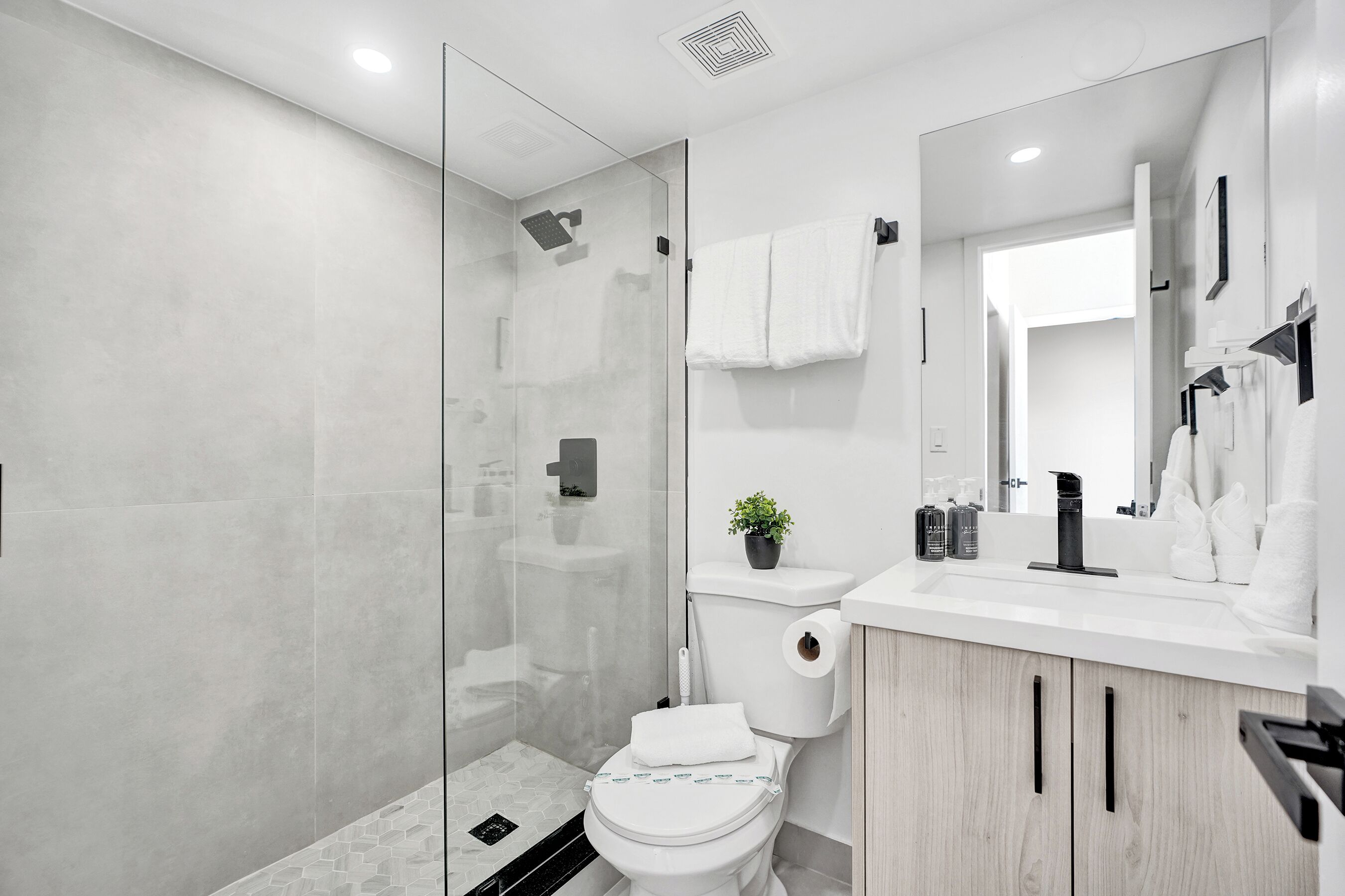 A modern bathroom with a glass shower enclosure, a white toilet, a sink with a mirror, and a potted plant.