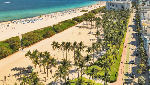 A beachside hotel with a long promenade lined with palm trees, a sandy beach, and a view of the ocean. - SoBe Suites 727 (Miami Beach)