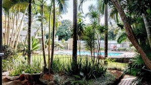 A lush garden with tall palm trees, a swimming pool, and a stone pathway. - Luxury Apartment in Waikiki E5 Close to the Beach (Ballito)