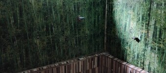 Room-phantom Rock View Homestay