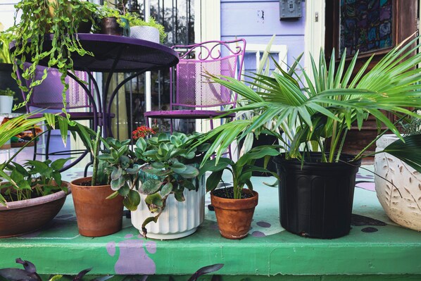 Terrasse/Patio