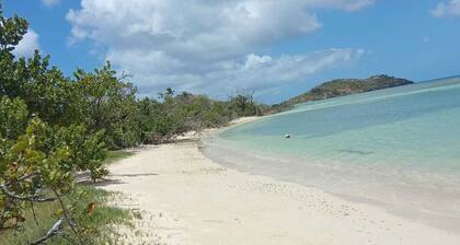 Beachfront Hideaway with Sea Breeze and Relaxed Island Stay with spacious Rooms