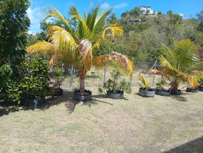 Área da propriedade
