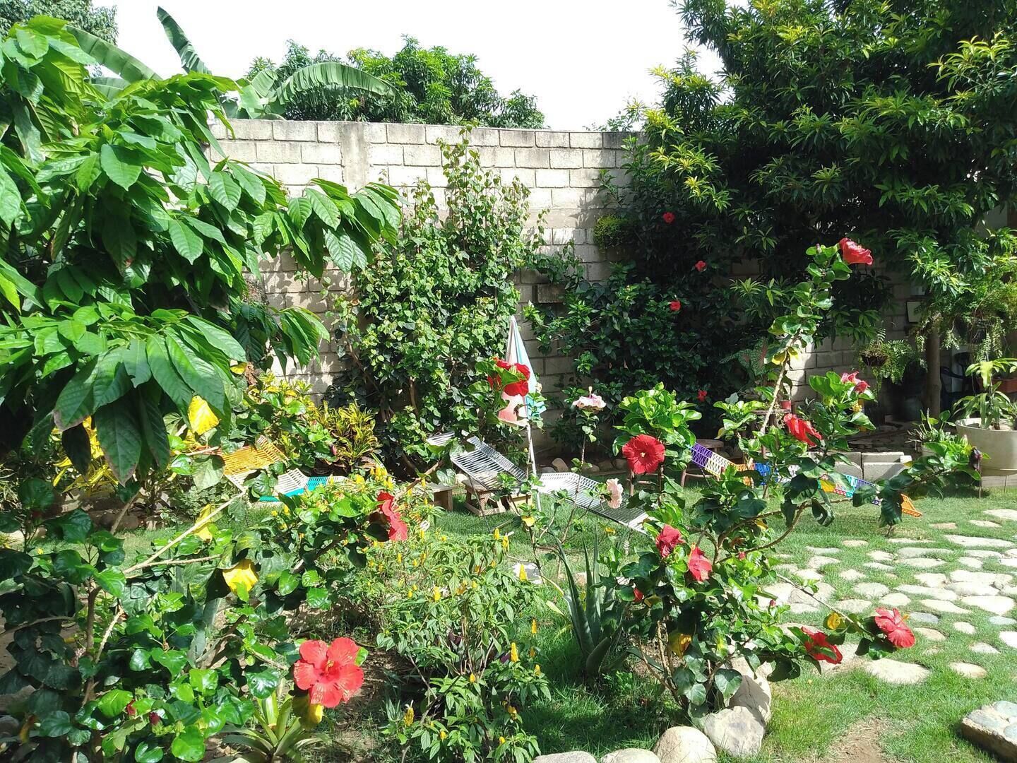 Ein Garten mit verschiedenen Pflanzen und Blumen, einer Steinmauer und einer Hängematte.