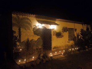 A building with a mural of a tropical scene, a door, and plants. - Avocado: Harmony, Texture, Connection, and Peace 187715 (Palomino)