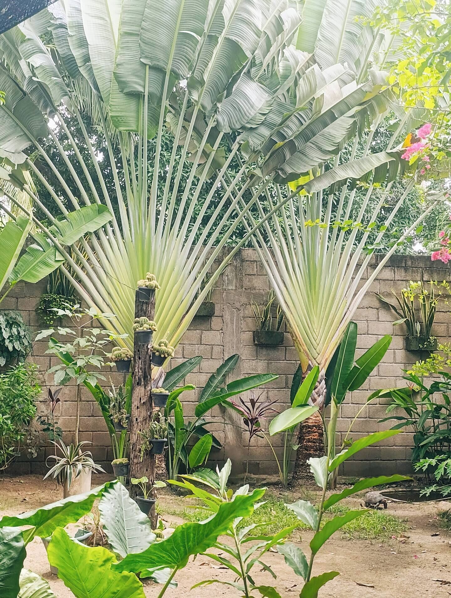Terrain de l’hébergement 