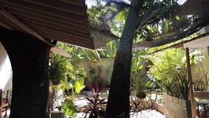 Uma área de jardim ao ar livre com diversas plantas, uma pérgula de madeira e um espaço para sentar.