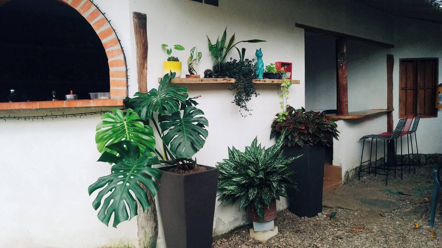 Jardines del alojamiento