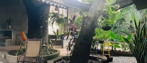 Terraza o patio