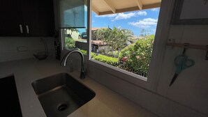 Una cocina con un lavamanos, una ventana y vistas a una zona residencial.