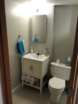 シャワー、ヘアドライヤー、タオル、トイレットペーパー