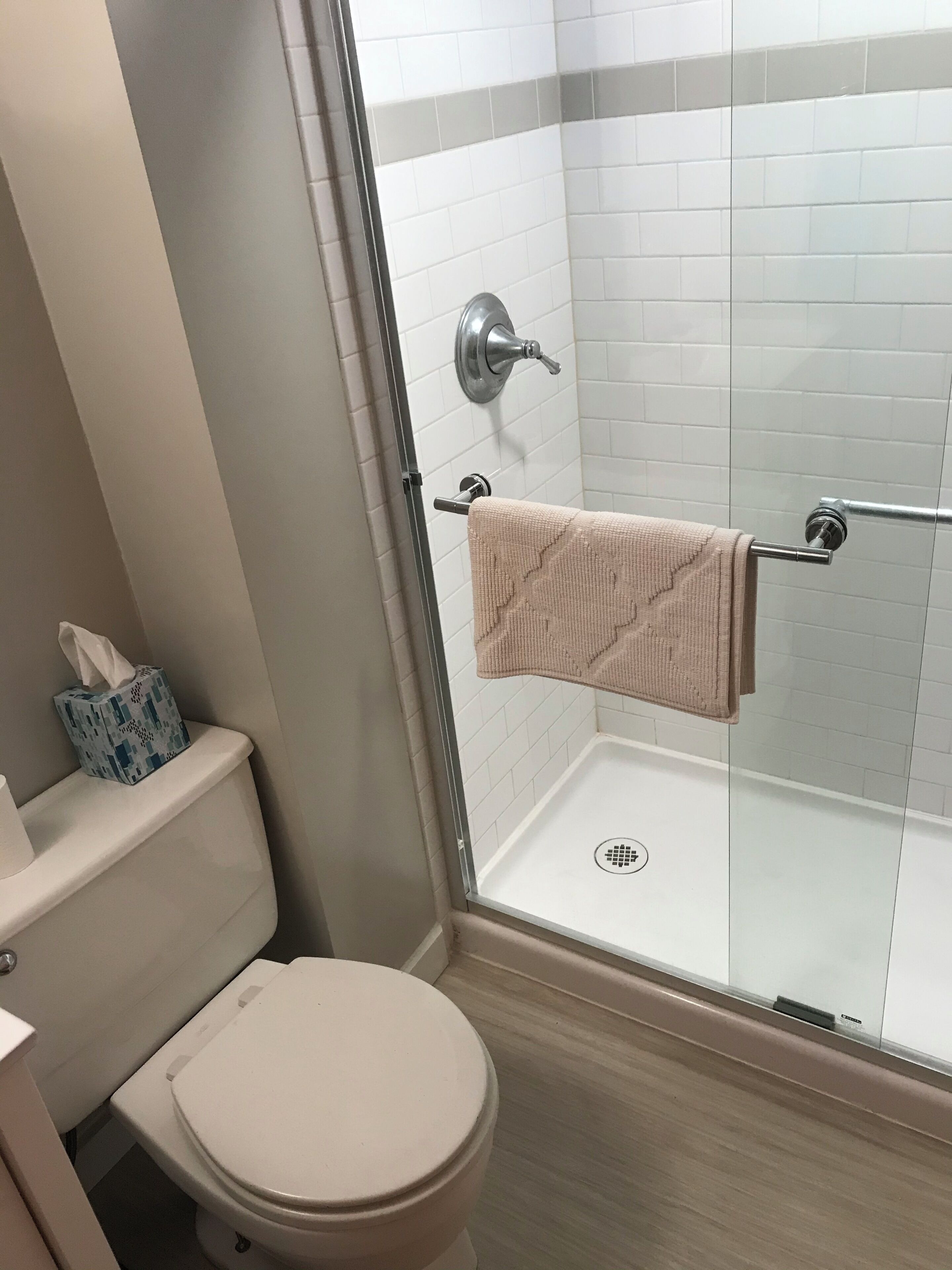 Shower, hair dryer, towels, toilet paper