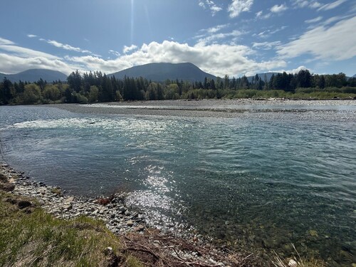 Riverside Cabin Near Mt Rainier & White Pass - Packwood - AC - EV Plug