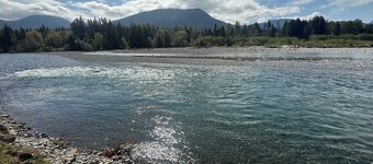 Riverside Cabin Near Mt Rainier & White Pass - Packwood - AC - EV Plug