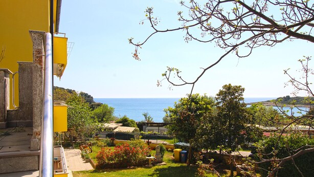 A coastal view with a clear sky, a grassy area, and a building with a yellow facade. - Studio apartment 1707/204214 (Istria - Banjole), 100m from the beach (Banjole)