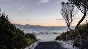 A coastal road leading to the sea with a fence on the right and a tree on the left.