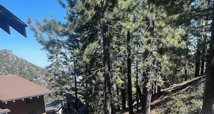 Tahoe Mountain Escape - Cozy 1BR/1BA, Epic Views & Adventure Nearby