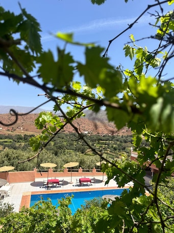 3 outdoor pools, open 8:00 AM to 6:30 PM, free cabanas, pool umbrellas. Green Valley Lodge