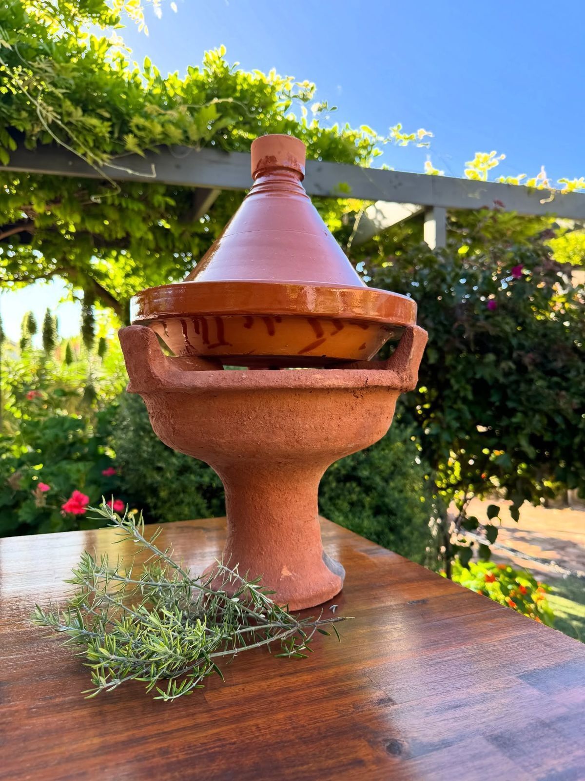 Una maceta de terracota sobre una superficie de madera, con follaje en el fondo.