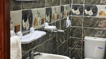 Shower, towels, soap, toilet paper