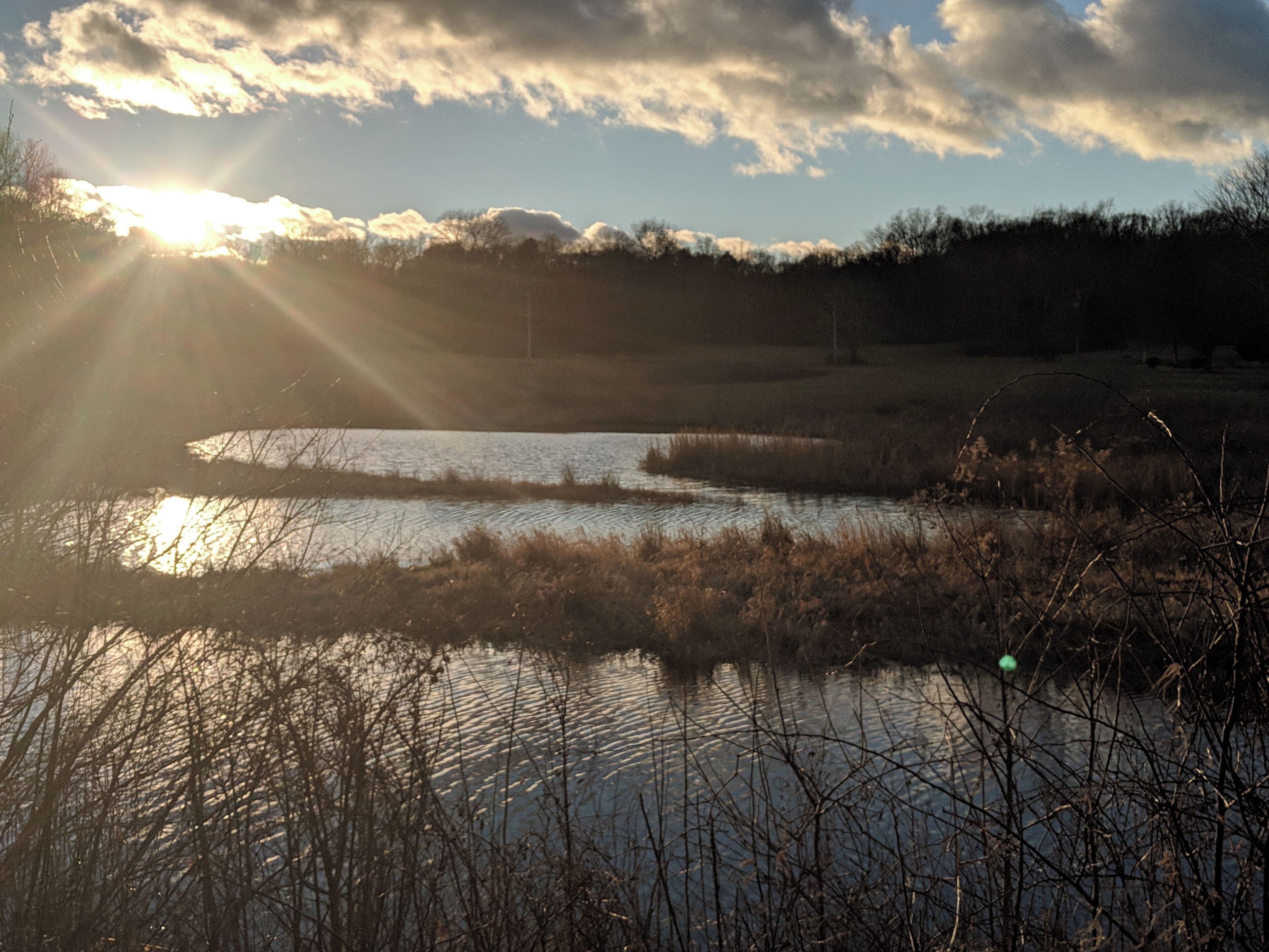 Eine natürliche Landschaft mit einem von Sonnenlicht reflektierenden Gewässer, umgeben von Vegetation.