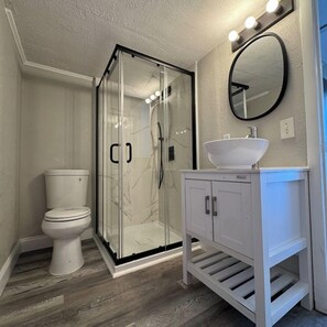 A bathroom with a glass-enclosed shower, a white toilet, and a vanity with a mirror. - Renovated, small studio 3 miles from the beach #19 (Clearwater)