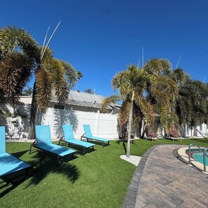 Property grounds - Renovated, small studio 3 miles from the beach #19 (Clearwater)