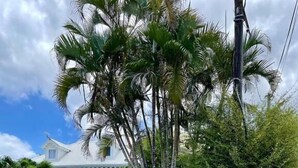 A wooden fence with a sign, a house, and palm trees in the background. - KAY TI CANNELLE (Le Diamant)
