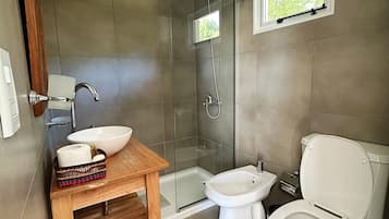 Shower, hair dryer, bidet, towels