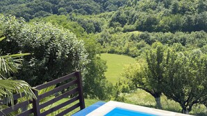 Piscina com deck de madeira e vista para um vale verdejante.