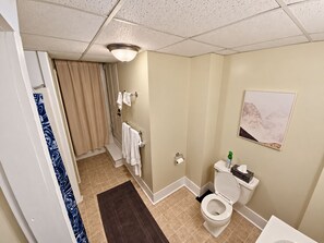 Une salle de bain équipée de toilettes, d’un porte-serviettes, d’un rideau de douche et d’un tableau encadré au mur.
