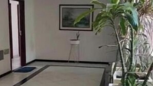 Une pièce spacieuse avec un sol carrelé, une porte, un tableau encadré au mur et une plante en pot.