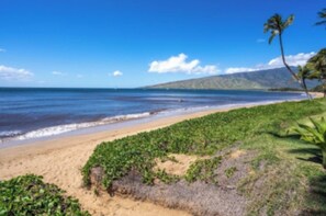 Beach - Newly renovated ocean view one bedroom condo in Kihei with AC (Kihei)